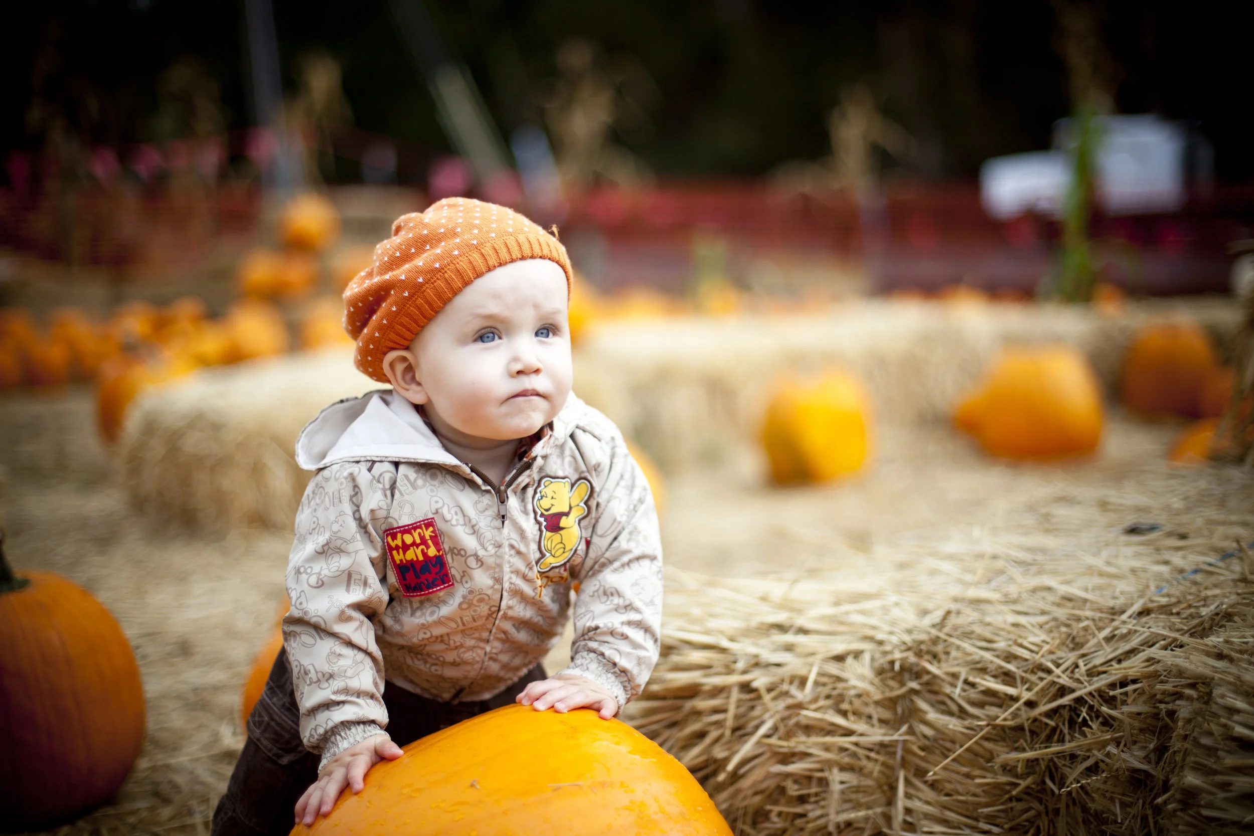 Webb Ranch Mini Photo Sessions