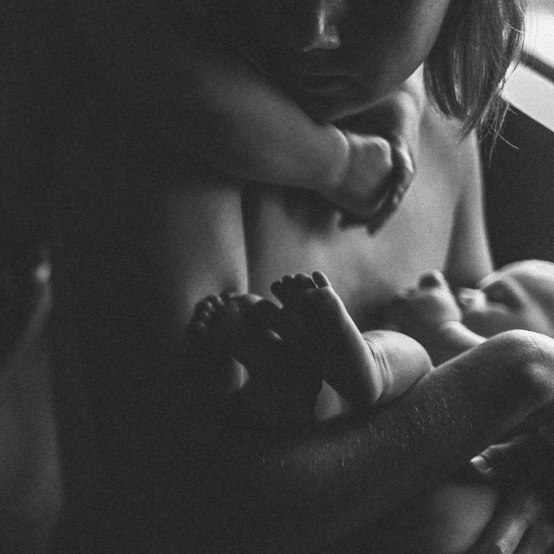 SpringInGreen Photography